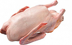 Kačica bez drobkov 2,5kg