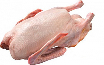 Kačica bez drobkov 2,5kg