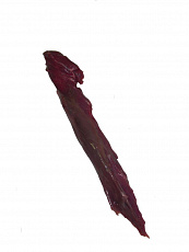 Jelenia sviečková cca1kg (M) Tau