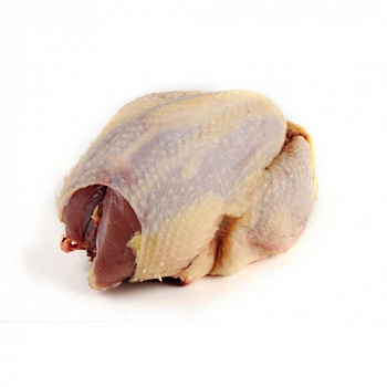 Bažant celý cca 0,75kg (M)