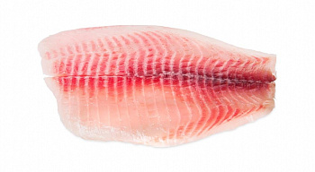 Tilapia filety bez kože 80 - 150g 5% glazúra