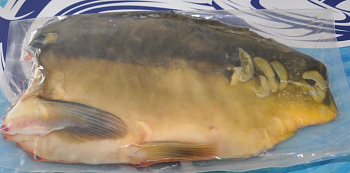 Kapor polený 0,6 - 1kg