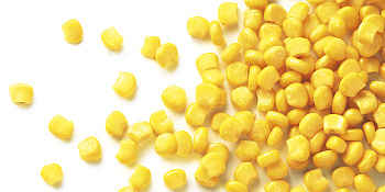 Cukrová kukurica - zrná 2,5kg Tr.A (supersweet)