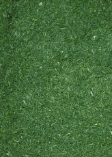 Kôpor mrazený 1kg