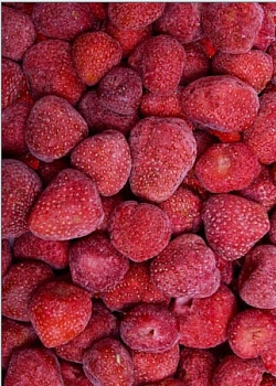 Jahody 2,5kg