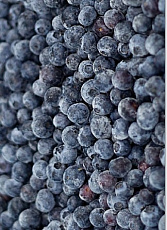 Čučoriedky kultivované 2,5kg