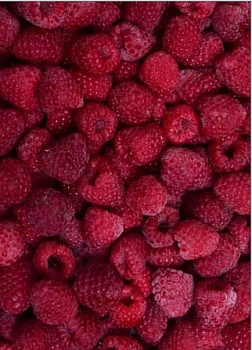 Maliny 2,5kg