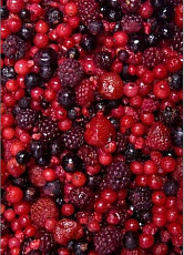 Lesná zmes 2,5kg