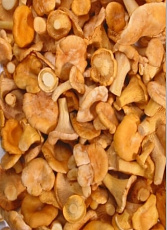 Kuriatka 1kg