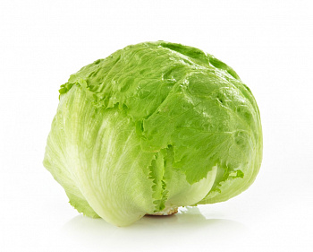 Šalát ľadový (1ks)