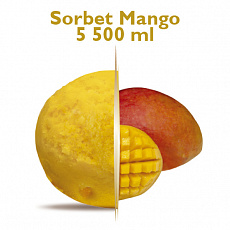 Carte d Or Sorbet Mango 5,5l