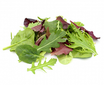 Šalát trhaný Mesclun MIX 125g