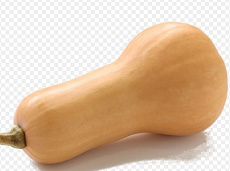 Tekvica maslová (kg)