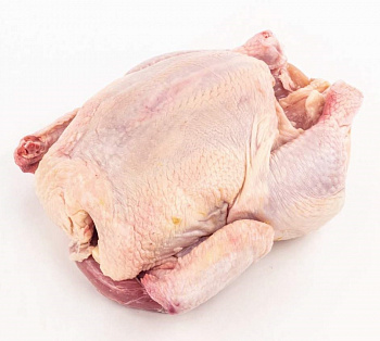 Kohút 3,5 - 4,8kg (M)
