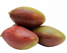 Mango (ks)