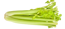 Zeler stonkový 500g