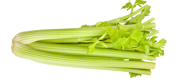 Zeler stonkový 500g