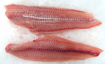 Sumček africký filety bez kože 200-600g 10% glazúra 5kg (M)