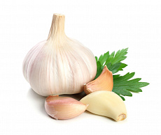 Cesnak fialový nečistený (kg)