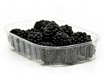 Černice 125g