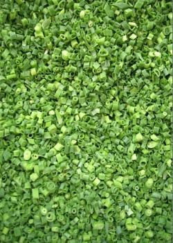 Pažítka mrazená 1kg