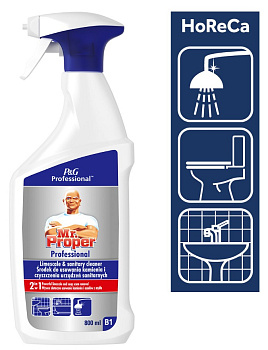 Mr. Proper P&G Professional odstraňovač vodného kameňa 800 ml