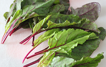 Červená repa - listy 125g (red chard)