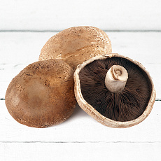 Šampiňóny Portobello kg