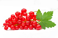 Červené ríbezle 125g