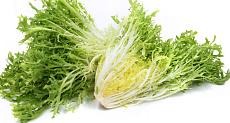 Šalát frisée (1ks)