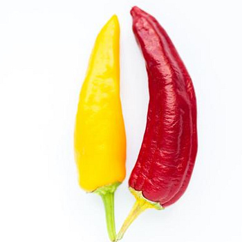 Feferóny/chilli jalapeňo (kg)