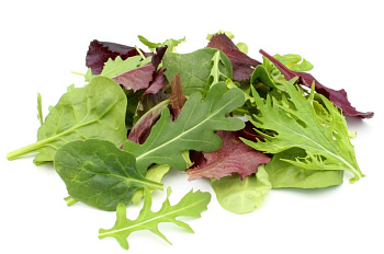 Šalát trhaný MIX 500g