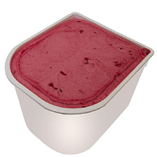 Carte d Or Sorbet Čierna ríbezľa Vegan 2,4l