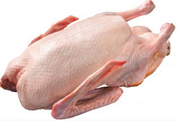 Kačica bez drobkov 2,4kg