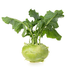 Kaleráb gigant (kg)