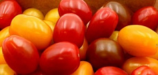 Paradajky cherry mix trio 300g