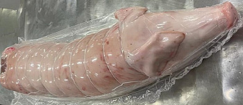 Prasiatko párty vykostené 7-9 kg (M)
