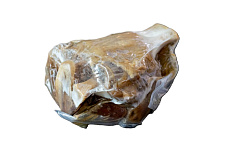 Teľacie koleno sous-vide s kosťou  cca 2kg KMS