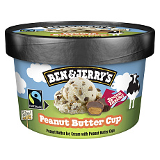 B&J 100ml Peanut Butter Cup