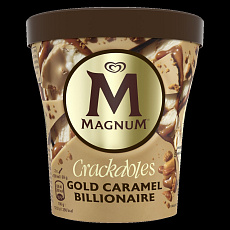 Magnum Double Gold Caramel Billionaire Pint 440ml
