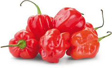 Feferóny Habanero (kg) TRB