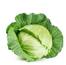 Kapusta biela skorá (kg)