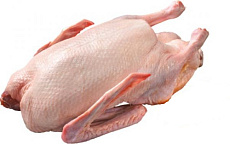 Kačica bez drobkov 2,6kg