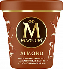 Magnum Pint Almond 440ml